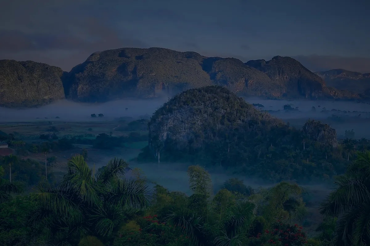 Digitalisierungs-Schnelltest für Kommunen