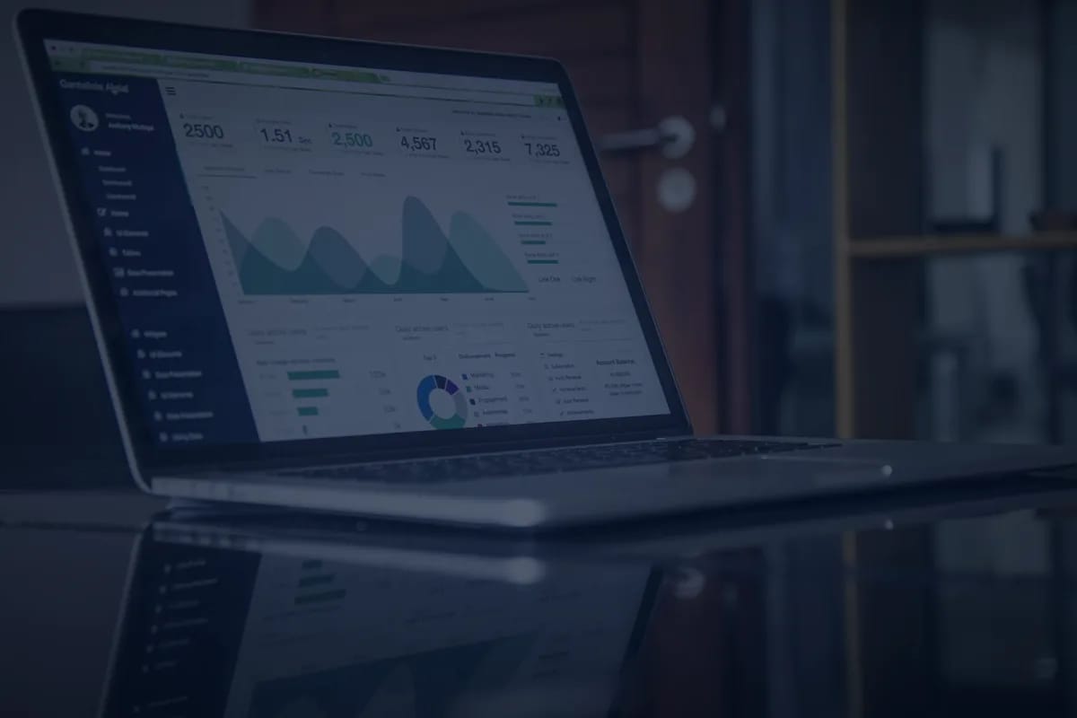 Data Hygiene Audit