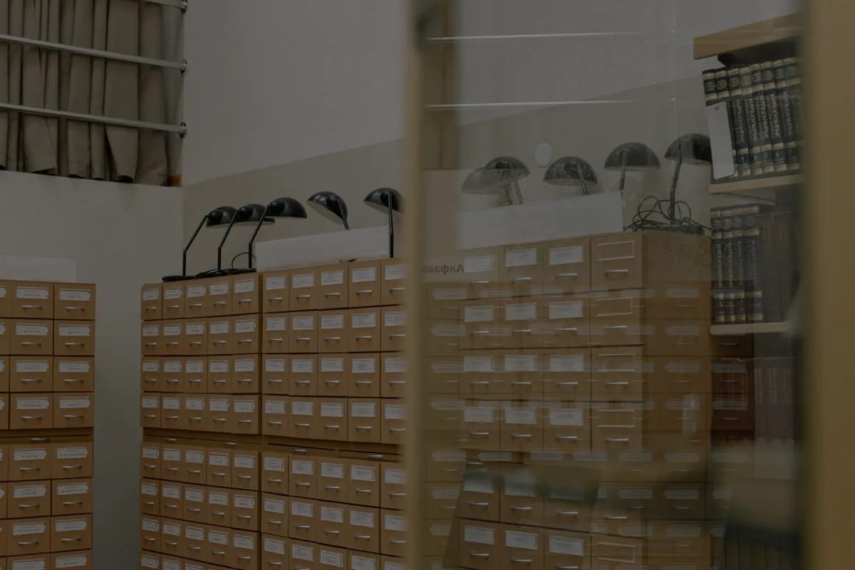 Data Management System: What the Mid-Market Needs