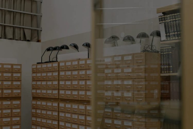 Data Management System: What the Mid-Market Needs
